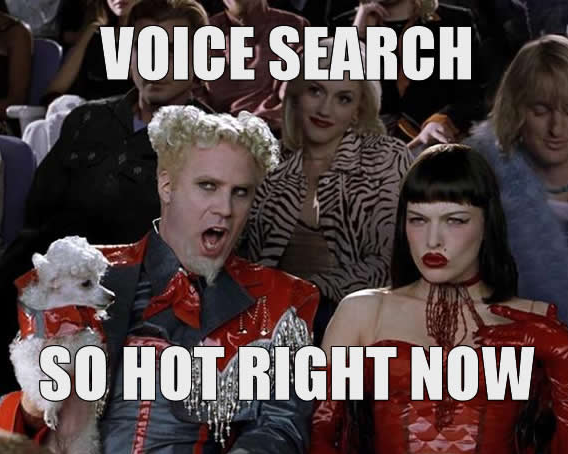 Voice Search