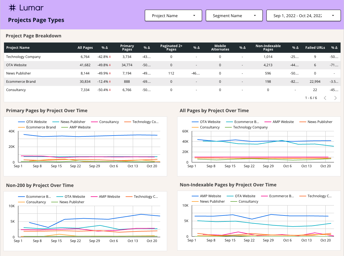 Lumar Google Data Studio Template - Project Page Types