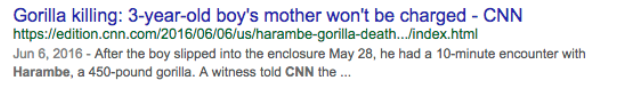 Harambe Google search result